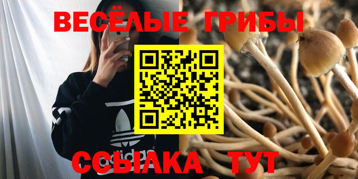 Алексеевка  Псилоцибиновые грибы GOLDEN TEACHER  Псилоцибиновые грибы прущие грибы  Вход с VPN 